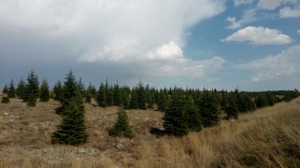 Doğa görseli