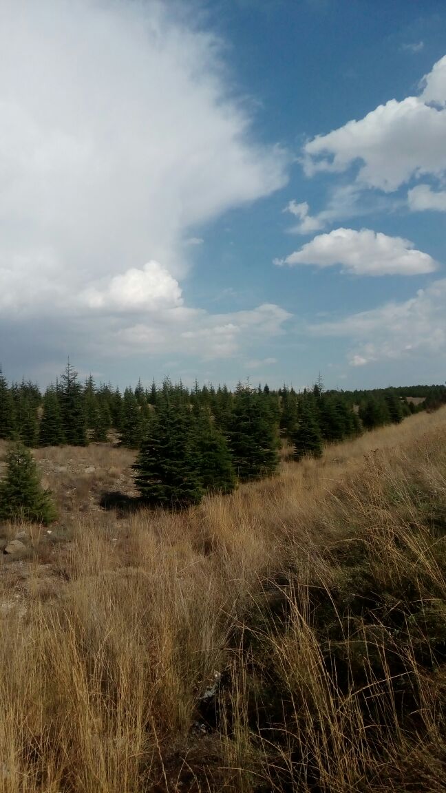 Doğa görseli 2